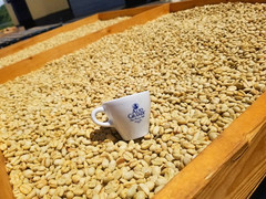 Alto Grande Premium Coffee Whole Bean – 2 Lbs (Pack of 1)