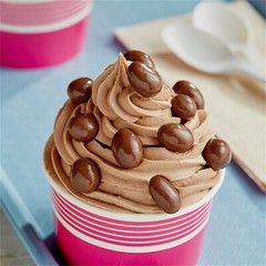 Albanese Milk Chocolate Covered Peanuts 10 lb. WS-711ALB1006
