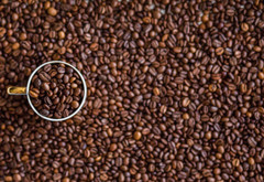 Ceylon 100% Pure Organic Natural Arabica Coffee Been Black Roasted Unroasted