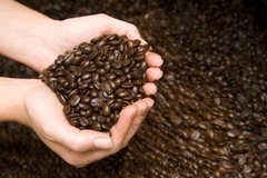 Jamaican Blue Mountain & Kona Coffee Beans Medium Roasted 2 / 1 Pounders of Each