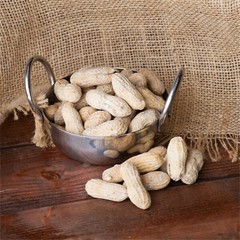 Hampton Farms Roasted Salted In-Shell Peanuts 25 lb. WS-113PNUT20130