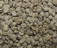 Kenya AA Nyeri Green Beans,NewCrop,Unroasted Coffee Beans,Kenya Specialty Coffee