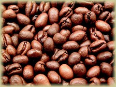 TANZANIAN KILIMANJARO COFFEE BEANS PEABERRY MEDIUM ROAST 2 POUNDS