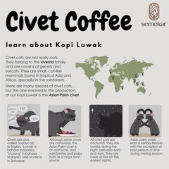 BEST NEW! Semekar Wild Luwak Civet Aceh Gayo Arabica Coffee – Fresh Roasted