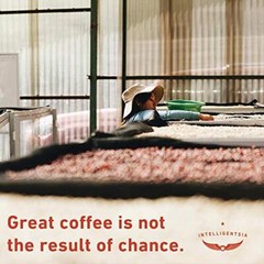 Coffee, Medium Roast Whole Bean Coffee – Black Cat Espresso 12 Ounce Bag with…