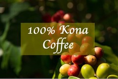 USDA Organic 100% Kona Coffee Unroasted Green Beans 500g (1.1lb)