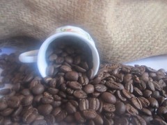 Arabica Golden Brown Roast Roasted coffee beans 30gms