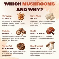 Organic Roast Coffee Infused with 6 Superfood Mushrooms