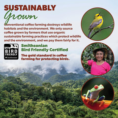 Organic Coffee Beans Whole, Medium Dark Roast – Low Acid Single Origin: Colombia