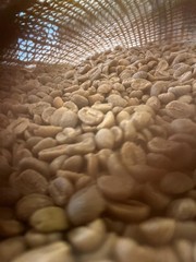 Lola Savannah Texas Pecan Whole Bean Caffeinated Coffee, 2lb