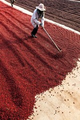 Unchartered Coffee – 1804: Honduras, Decaf