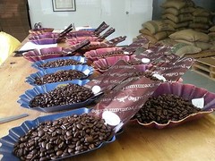 Lavanta Coffee Decaf Sumatra Gayo Mountain Mandheling Green or Roasted Coffee