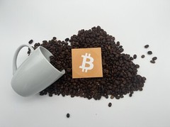 8oz. DARK ROAST Red Bourbon Coffee Beans. El Salvador’s Finest Whole Beans