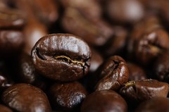 2025 Gourmet Espresso Roast Perfect for Coffee Shops Fresh Roasted Daily 4 Bags
