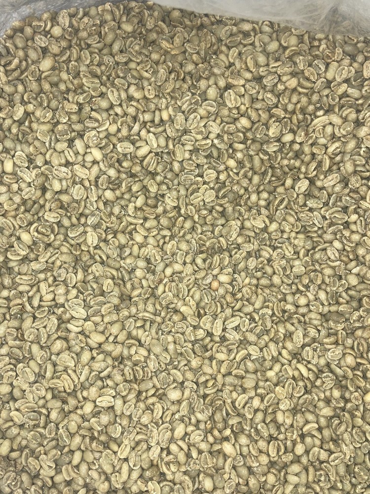 GUATEMALA LA MORENA CUBULCO- 1lb- Green Unroasted Coffee Beans