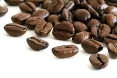2026 GOURMET COFFEE 1 Bag – 8 oz. Roasted Daily – Whole Bean FREE SHIPPING