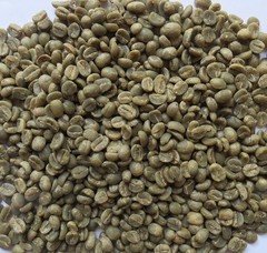 Sustainable Unroasted Green Coffee Beans – 3 Lb Caturra Arabica from Nicaragua