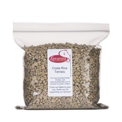 Lavanta Coffee Costa Rica Tarrazu Arabica Green or Roasted Coffee