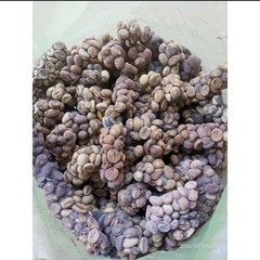 Indonesian Kopi Luwak Gayo Green Coffee Beans 1 kg