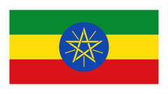Roastika – Ethiopia Yirgacheffe – Premium Green Coffee Bean – Unroasted Coffee B