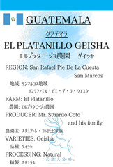 【GUATEMALA】EL PLATANILLO -GEISHA- 300g Roasted in Nara, Japan