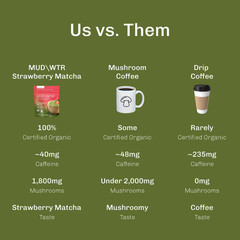 MUDWTR Organic Strawberry Matcha Mushroom Coffee Alternative – 2.1oz