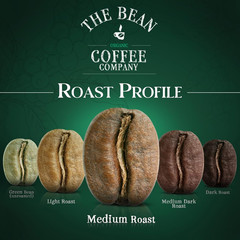 The Bean Organic Coffee Company Mocha Java, Medium Roast, Whole Bean Coffee, 16-